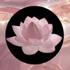 .ttalgi.tokki