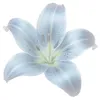 taliethereal