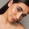 dudynis_