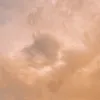 absvdgwywiw