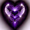 violette_254