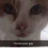 eggsausageandbac0n