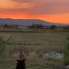 absbarker49