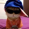 danxdra