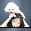 bebexsj