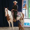 dshorseanddogtraining