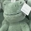 asadtoadguy