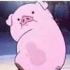 fluffy_piggy101