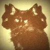 leonabones