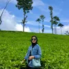 ttasihmarllina