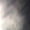 cecelia_00
