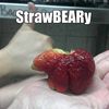 strawbrellly