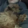 romeocerto