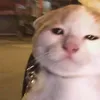 hunhnh22