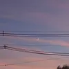 luccapri