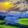 vaniaalmeida29