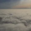 elizeroos1