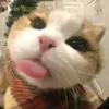 drymyeyespls