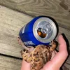 cchlo_9