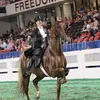 saddleseat