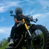 deya1303.3