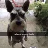 babestopp
