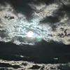 a_n3033