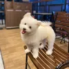 codybaby07