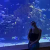 bandinellielisa