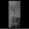 claudiaxpl