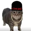 ievseen