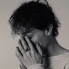 louisplavinet