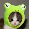 ninjin_baby