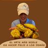 www.tiktok.comchesita