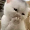 kayislame