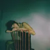 kadynlilliana