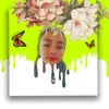 maia.salt