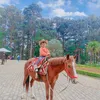 tuyenmickeycm