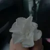 tiwmdhksl