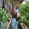 jasmine883