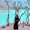 ceemaaa1