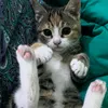 etta_28_c