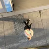 sophie.lar