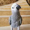 _hanoody_