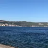 rozaishan
