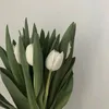 alinaavlz