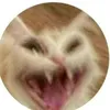 changbinandmereal