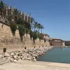 nonocrtq