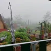 dilaadeell