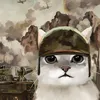 mishpai